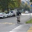 Velostrassen