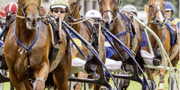 Hinweis zur Anreise mit dem ÖV auf dem Aarauturf-Plakat (Bild: Aargauischer Rennverein)