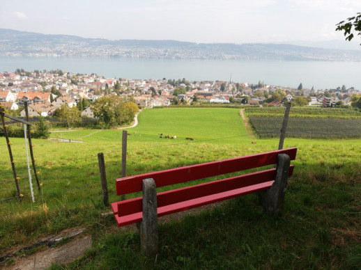Wädenswil possède un centre urbain au bord du lac et des quartiers ruraux sur les hauteurs (photo : Mobilité piétonne Suisse)