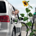 Marché de l’automobile : les formes alternatives de propulsion sont en tête du palmares écologique