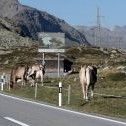 Die Schweizer Naturpärke denken Mobilität neu