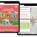 Participation en ligne à la mise en œuvre du concept de sécurité des trajets scolaires dans le canton de Bâle-Ville 