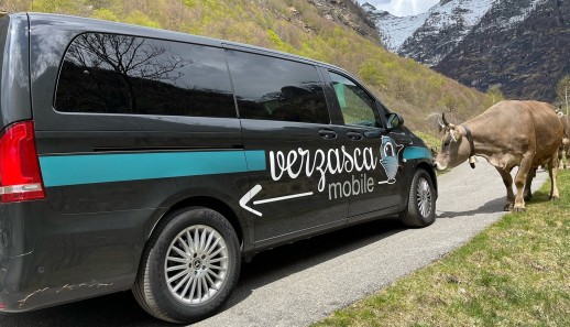 On-Demand-Angebote: Die Grenzen zwischen öffentlichem und individuellem Verkehr verschwimmen  (Foto: Verzasca mobile) 