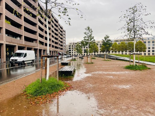 La superficie non impermeabilizzata del quartiere di Erlenmatt permette all'acqua piovana di accumularsi, filtrare ed evaporare, contribuendo così a creare un microclima più piacevole (Foto: © Frieder Kaiser)