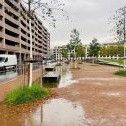 Klimaanpassung und Mobilität: Schwammstadt im Strassenraum