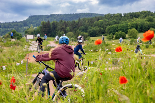 Le Trailcenter d'Aesch allie plaisir, sécurité et promotion du vélo au cœur d'un environnement naturel, tout en s'affirmant comme un point d’intérêt en ce qui concerne la faune et la flore locales (photo : Thomas Moor / Commune d'Aesch).