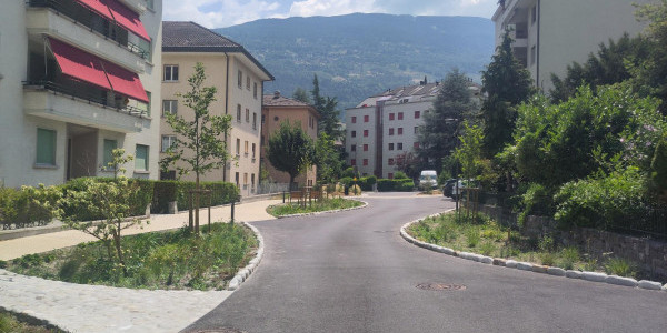 Die Massnahmen zur Klimaanpassung in der Rue des Aubépines in Sion machen das Zufussgehen deutlich angenehmer und attraktiver (Foto: bfm)
